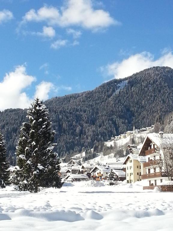 Hotel Stella Alpina ファルカーデ エクステリア 写真